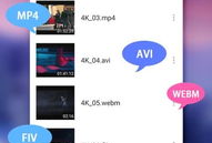 免费的视频播放器,轻松观影新体验